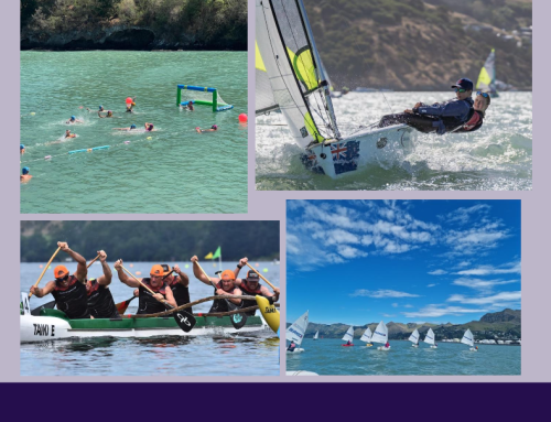 Feasibility study Multi-use building – Final public report